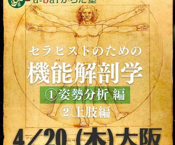 大人気商品 無痛バランス療法 「基礎編」「解剖生理学的機能診断編」2